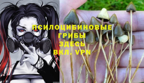 тгк Красноперекопск