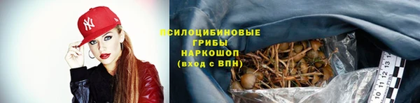 альфа пвп Краснослободск