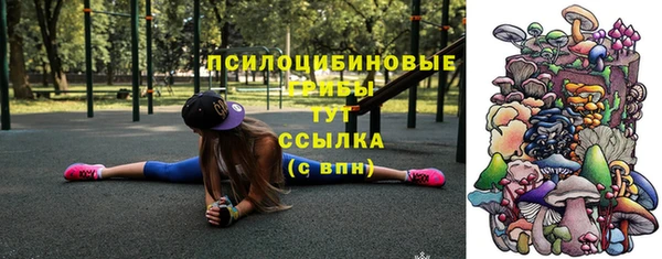 альфа пвп Краснослободск