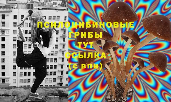 стафф Краснотурьинск