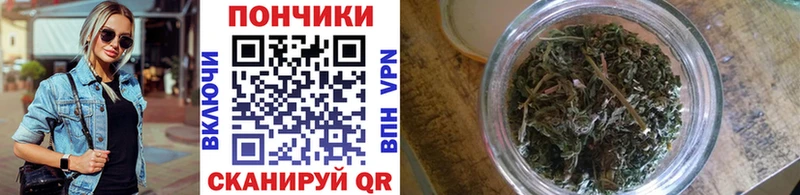 Бошки марихуана THC 21%  Купить  Светлоград 